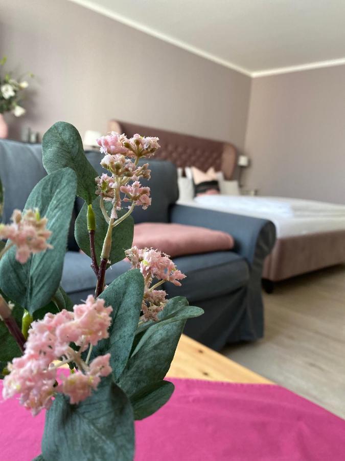 צוויקאו City-Appartement 12.3. מראה חיצוני תמונה